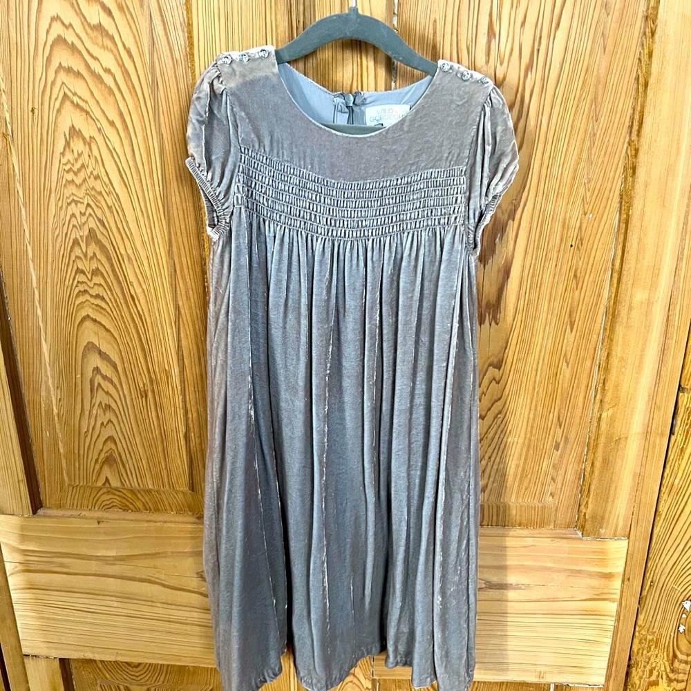 Wild and Gorgeous velvet dress